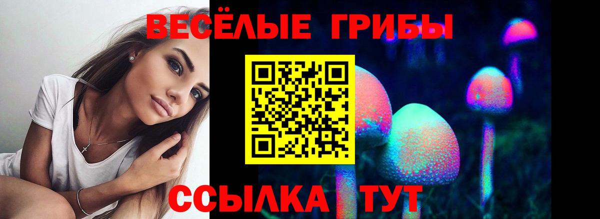 Галлюциногенные грибы мухоморы Татарск